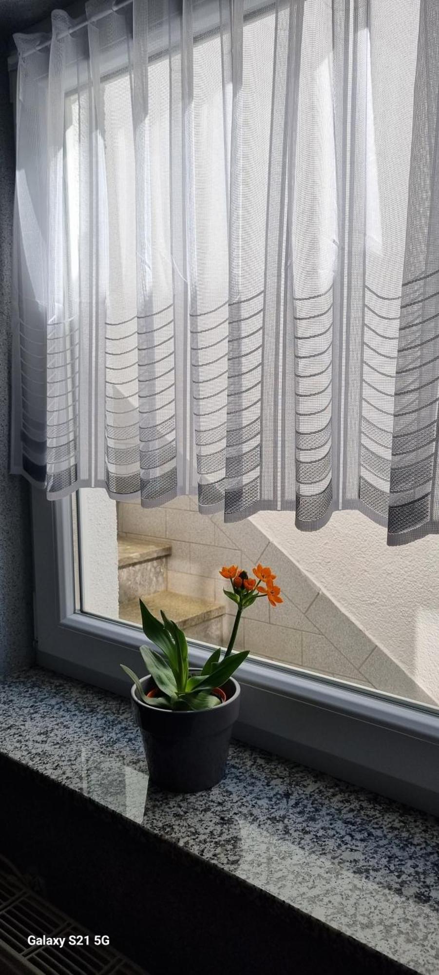 Ferienwohnung Elefanten Balingen Buitenkant foto