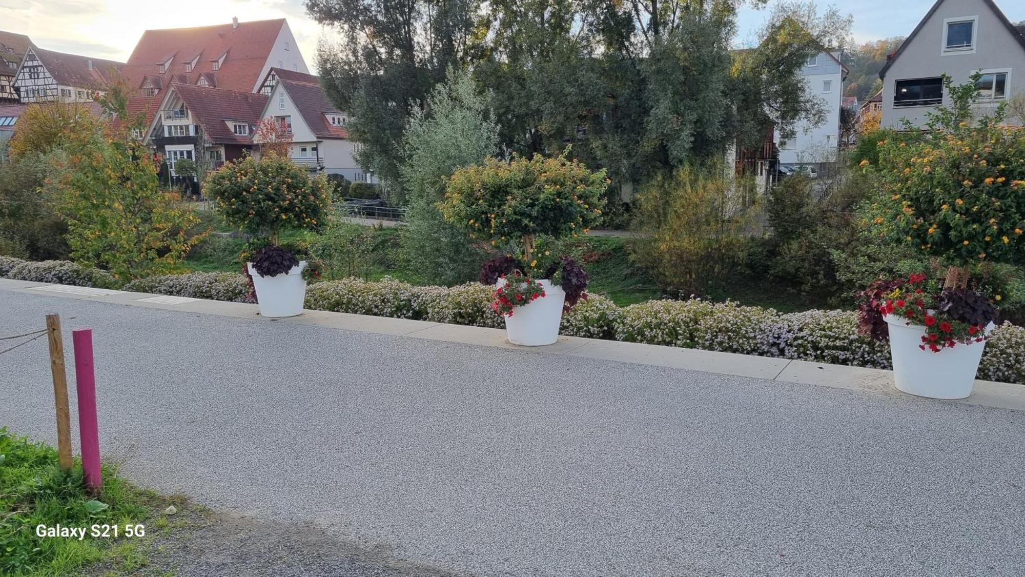 Ferienwohnung Elefanten Balingen Buitenkant foto