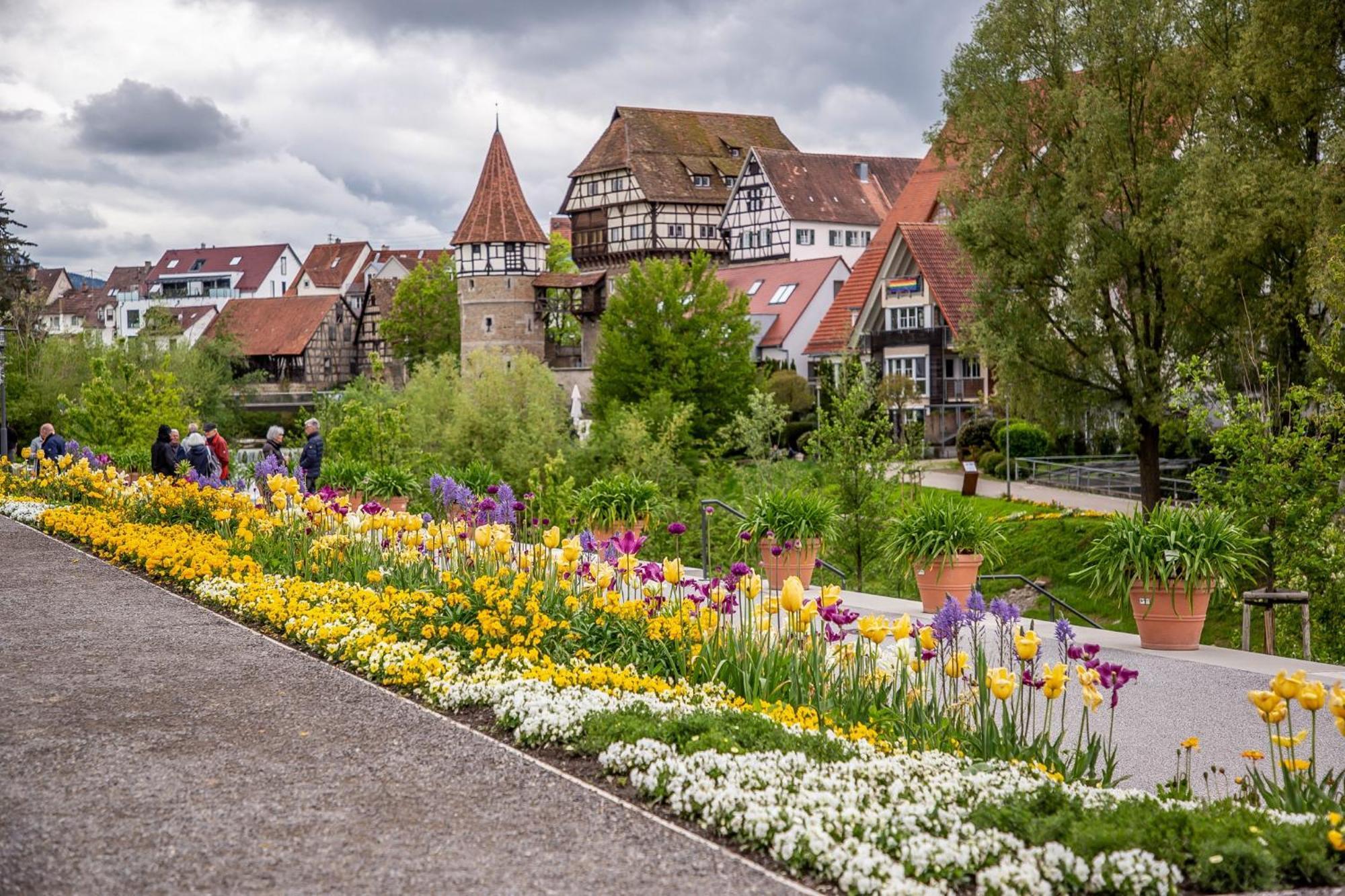 Ferienwohnung Elefanten Balingen Buitenkant foto